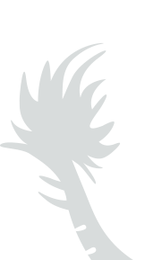 dragon-tail dragon-tail
